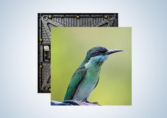 室內(nèi)全彩租賃/標(biāo)準(zhǔn)系列